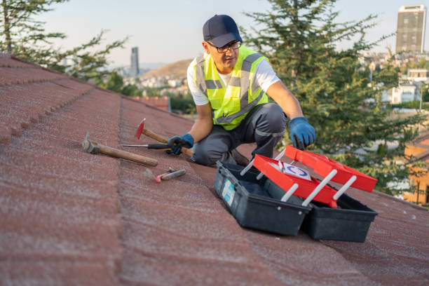 Best Storm Damage Siding Repair  in Hawaiian Gardens, CA